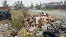 Жители Большой Елани заполонили мусором собственный двор 