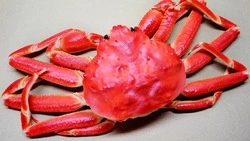 Коллегу «крабового короля» Сахалина обвинили в помощи контрабандистам