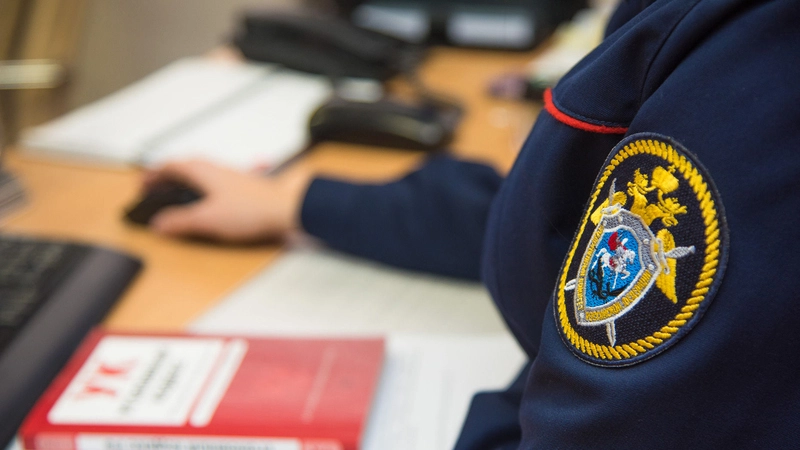 Автора ролика о пытках детей в Корсакове вызвали в Следственный комитет