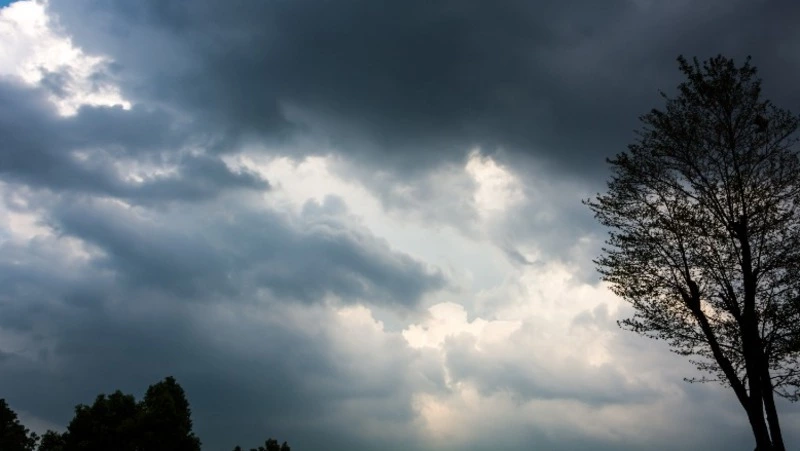 В Южно-Сахалинске спрогнозировали умеренное выпадение осадков 23 мая