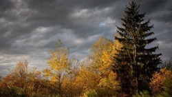 Прогноз погоды на Сахалине и Курилах 26 октября: дождь и пасмурное небо
