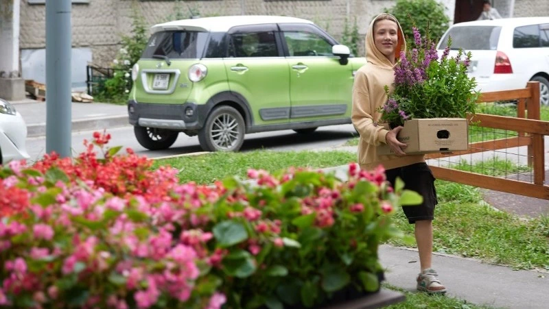 Около 1000 цветов украсили двор на улице Пограничной в Южно-Сахалинске