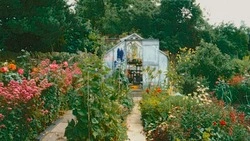 Лунный посевной календарь на июль 2025 года: когда сажать и ухаживать за растениями