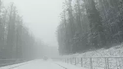 Туманы и осадки прогнозируют на Сахалине и Курилах на 29 марта