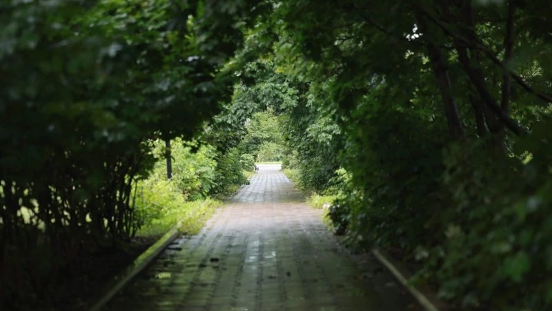 Осадки и туман прогнозируют синоптики в Южно-Сахалинске 9 сентября