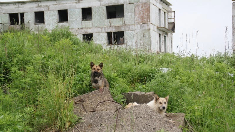 В Северо-Курильске не без участия прокуратуры снесли многоквартирный дом