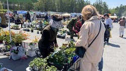 В Южно-Сахалинске прошла областная сельскохозяйственная ярмарка «Весна-2025»