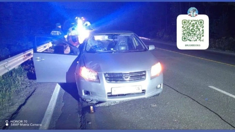 Водитель Toyota Corolla Axio насмерть сбил пешехода на юге Сахалина 