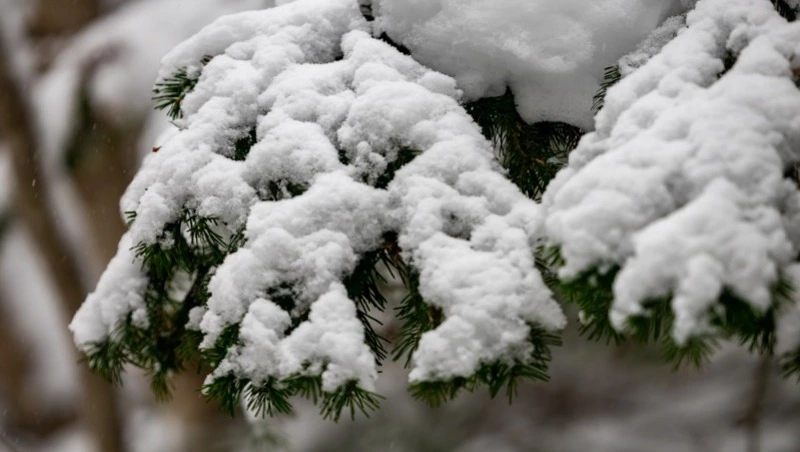Морозное и снежное утро ожидает Южно-Сахалинск 17 января