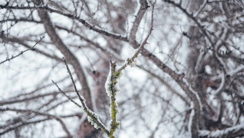Синоптики уточнили прогноз погоды на 14 марта в Сахалинской области