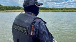 Главного госинспектора рыбнадзора на Курилах уволили за коррупцию и незаконный бизнес