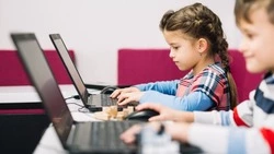 Школьников Сахалина познакомят с IT-профессиями и устройством чат-ботов