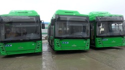 Минтранс запустил опрос для пользователей общественного транспорта на Сахалине