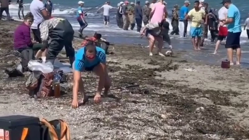 Толпа браконьеров вышла за горбушей к морю на юге Сахалина. Инспекторы бессильны