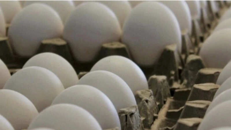 Птицефабрика «Островная» увеличит выпуск куриных яиц в конце февраля на Сахалине