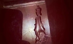 Сахалинка в Москве получила неожиданный «привет» от родины