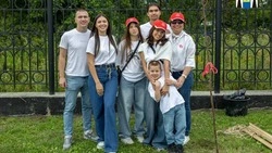 Аллею счастливого материнства открыли в Южно-Сахалинске