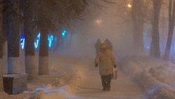 Прогноз погоды на Сахалине и Курилах 15 января: 20-градусные морозы, снег и ветер