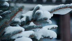 Прогноз погоды на Сахалине и Курилах 2 декабря: - 25 ночью и небольшой снегопад