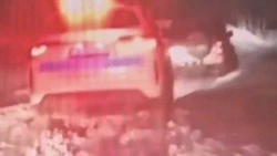 Полицейские открыли стрельбу по пьяному водителю в Долинске