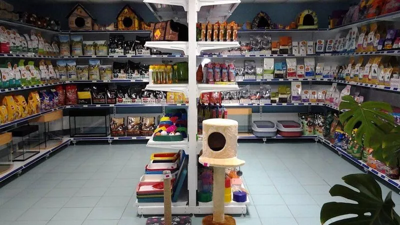 Мужчина ограбил зоомагазин в Южно-Сахалинске, чтобы сдать товар за бесценок