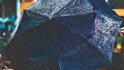 Мощные ливни обрушатся на Сахалин