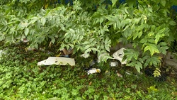 Стихийную свалку нашли на заднем дворе популярного ТЦ в столице Сахалина