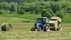 Власти Сахалина изыскали сенокосные угодья для шести фермеров