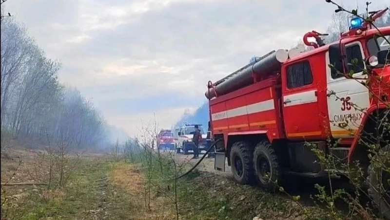 Лесной пожар угрожал «Петросаху» и селу Первомайск в Смирныховском районе