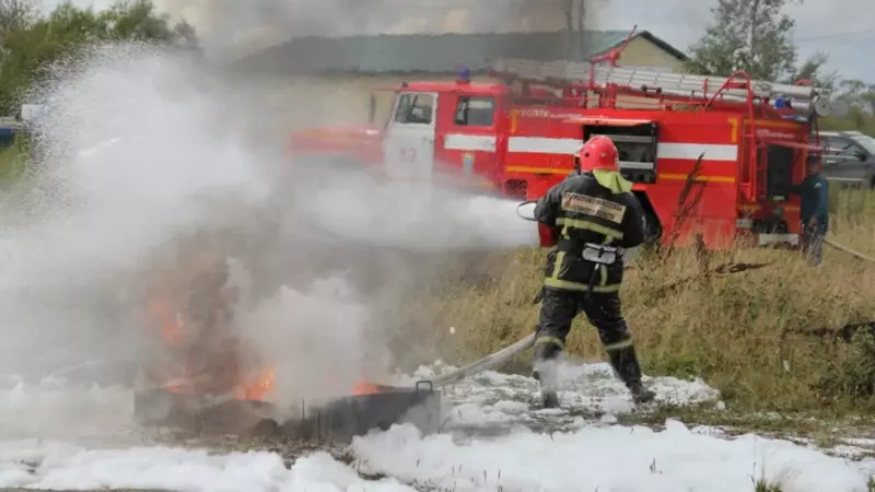 Пожарные предотвратили возгорание леса в Ногликах