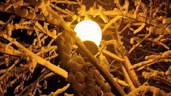 Снег выпал в Южно-Сахалинске ночью 22 ноября: фото