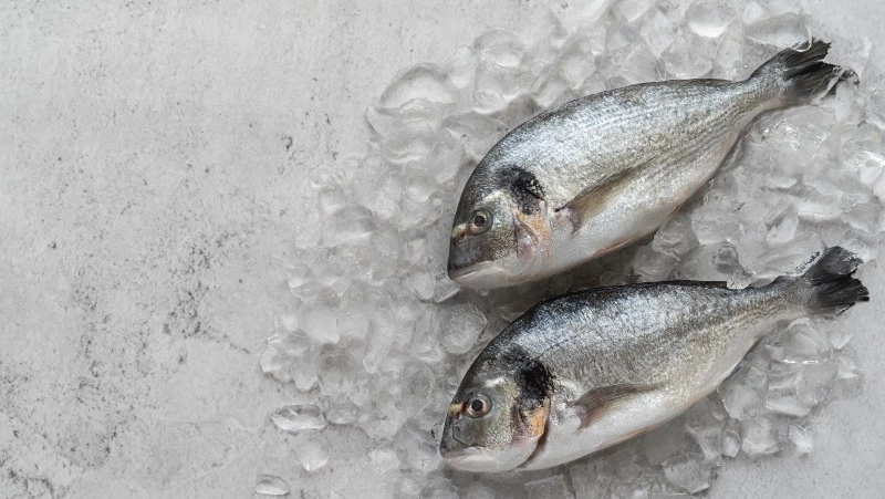 С Сахалина и из Приморья экспортировали 675 тысяч тонн рыбы с начала года