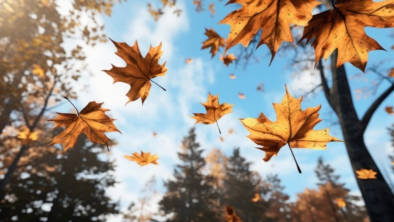 Церковный праздник 30 августа 2024: что нельзя делать в этот день, приметы