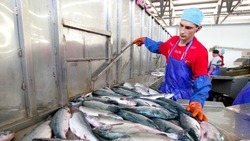 Южно-Курильский рыбокомбинат инвестировал в создание новых рабочих мест