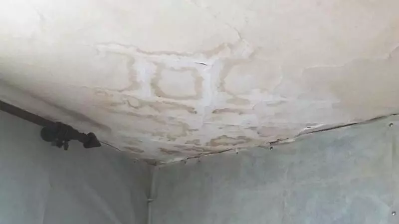 Сахалинская пенсионерка с заросшим мхом домом проигрывает битву властям