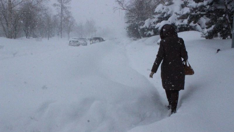 Сильный снегопад спрогнозировали на Курильских островах 25 февраля