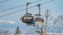 Сахалинцев пригласили к голосованию за «Горный воздух» на премии