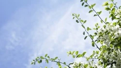 В Южно-Сахалинске вдвое снизился уровень загрязнения воздуха