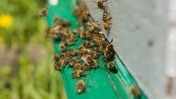 Церковный праздник 2 июля 2025: что нельзя делать в этот день, приметы