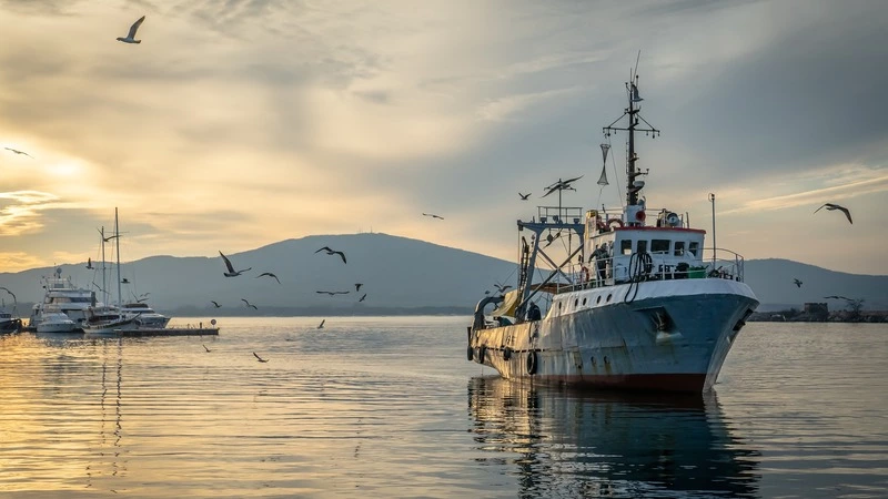 Федералы готовы снабдить островных рыбаков бесплатной соляркой