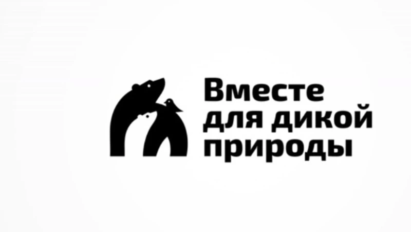 Голосование за будущие символы природы России стартовало на ПМЭФ