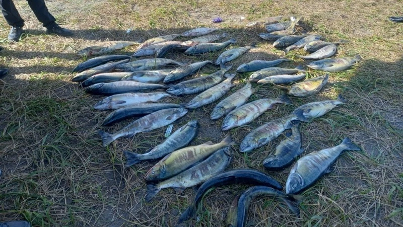 Полицейские поймали браконьера в Анивском районе 