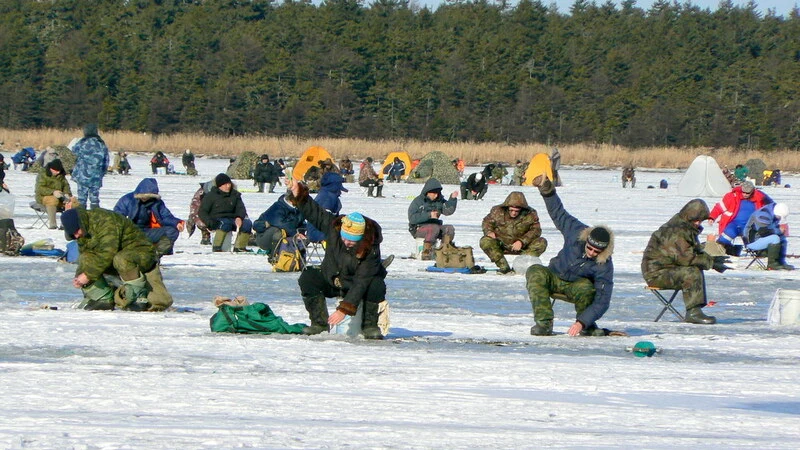 Как соблазнить зубаря