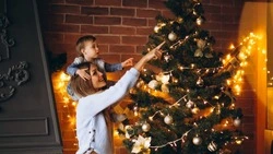 Жителям Сахалина напомнили о пожарной безопасности при установке праздничной ели