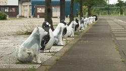 Фильм о лайках и их каюрах показали в Ногликах и Южно-Сахалинске