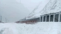 Снежная лавина сошла на трассе в Невельском районе 26 января