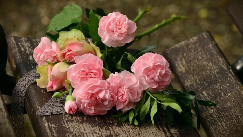 «Тяжелый труд»: мэр Курильского района вспомнил о своей первой учительнице