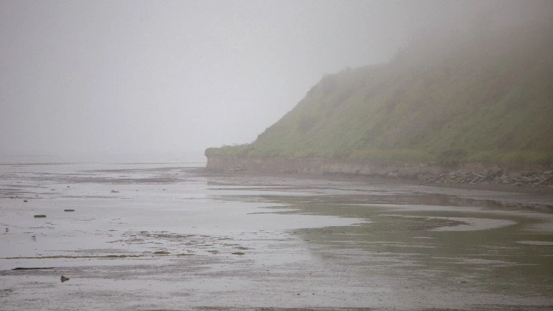 Сахалин представил рекордное количество работ на конкурс «Дальний Восток — Земля приключений»
