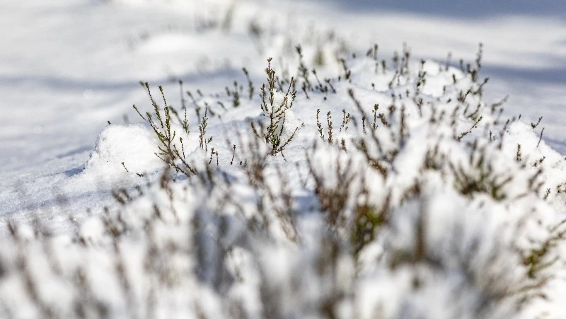 Небольшой снег и до -28 градусов ждет жителей Сахалина и Курил 14 января