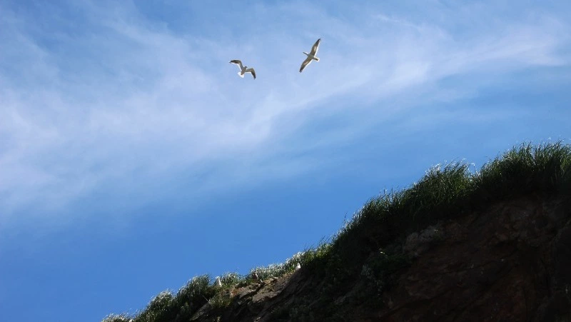 «Месяц Сахалинской области» стартовал в «Одноклассниках»